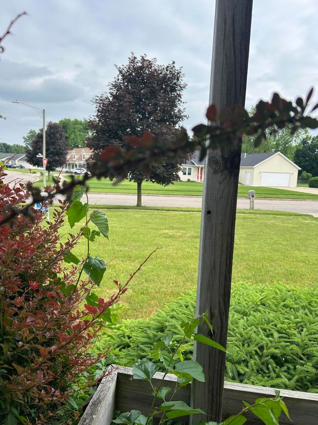 4 Grady Ct, House other with 3 bedrooms, 2 bathrooms and null parking in Coldwater MI | Image 31