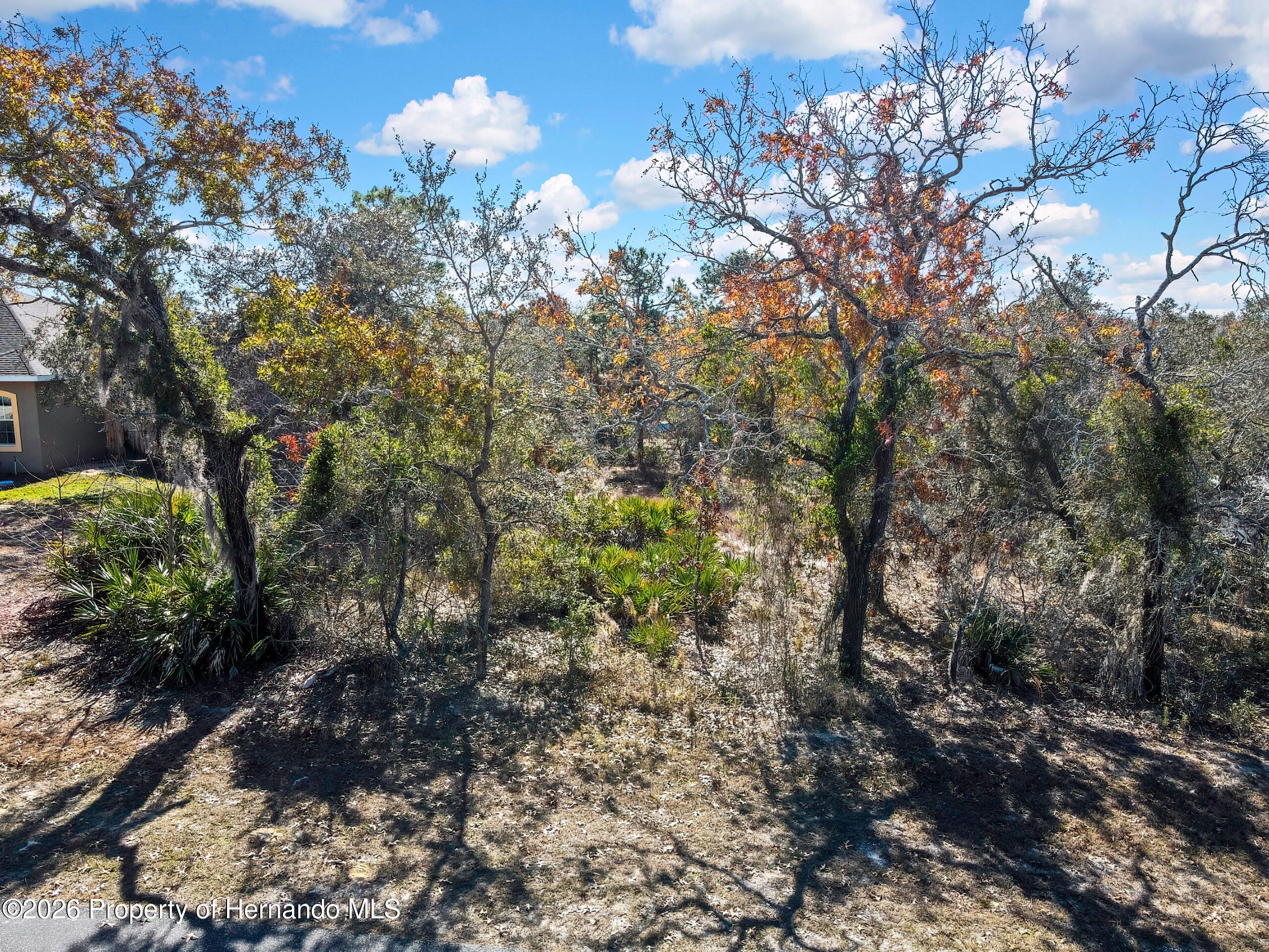 Land in Brooksville 3