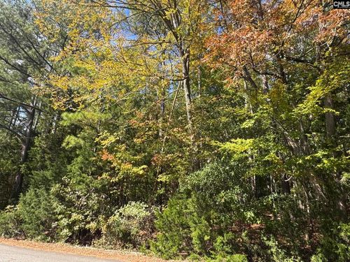 Lot 3 E Selwood Ln, Columbia, SC, 29212 | Card Image