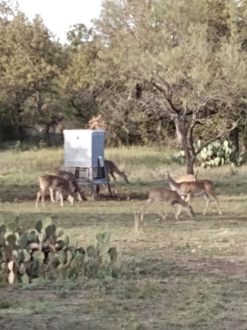 000 County Road 152, Brady, TX, 76825 | Card Image