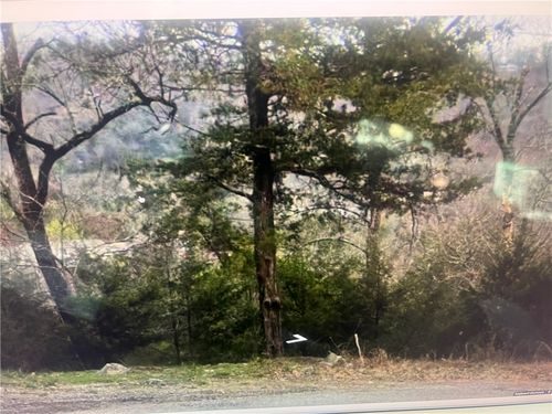 25 Deer Run Lane, Holiday Island, AR, 72631 | Card Image