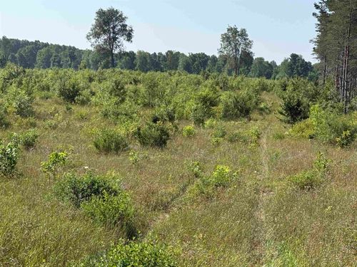 Parcel A1 E Kasson Road, Kasson Township, MI, 49664 | Card Image