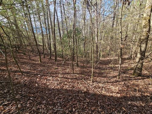 LOT 77 Roaring Forks Ln, Ellijay, GA, 30540 | Card Image