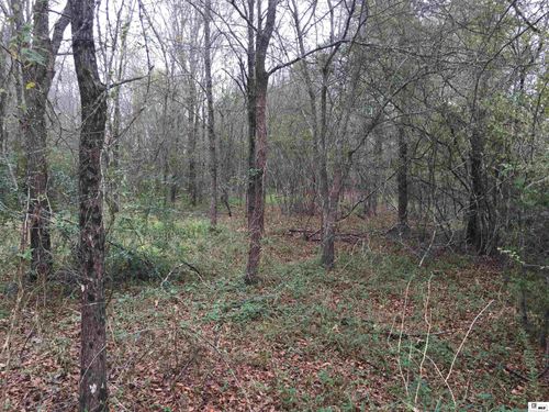 0 Prairie Rd, Monroe, LA, 71202 | Card Image