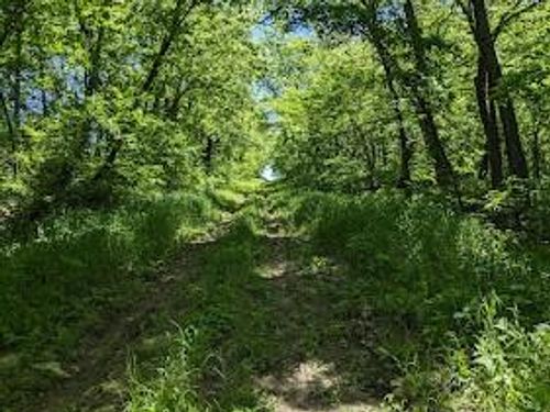 40.2 ac Mineral Point Road, Troy, KS, 66087 | Card Image