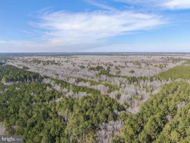 0 Follow Ditch Rd, Home with 0 bedrooms, 0 bathrooms and null parking in PRINCESS ANNE MD | Image 8