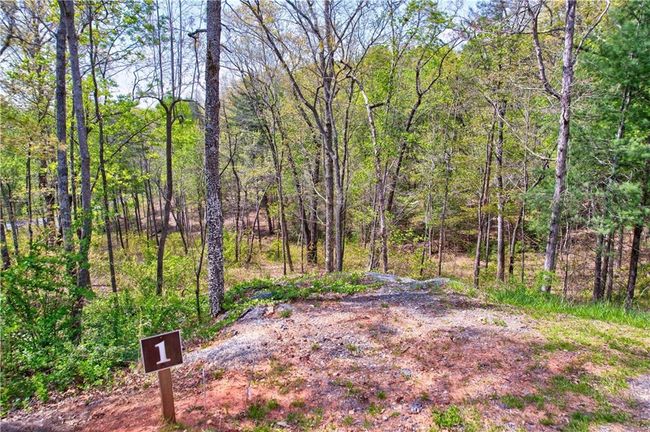 1 Jakes Landing Way N, Home with 0 bedrooms, 0 bathrooms and null parking in Ellijay GA | Image 7