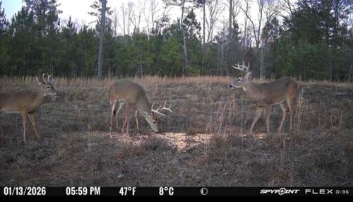 13145 Cataula, Cataula, GA, 31804 | Card Image