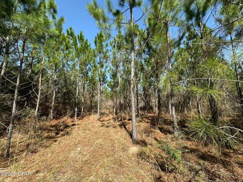 Tract#6416 Douglas Ferry North, Caryville, FL, 32427 | Card Image