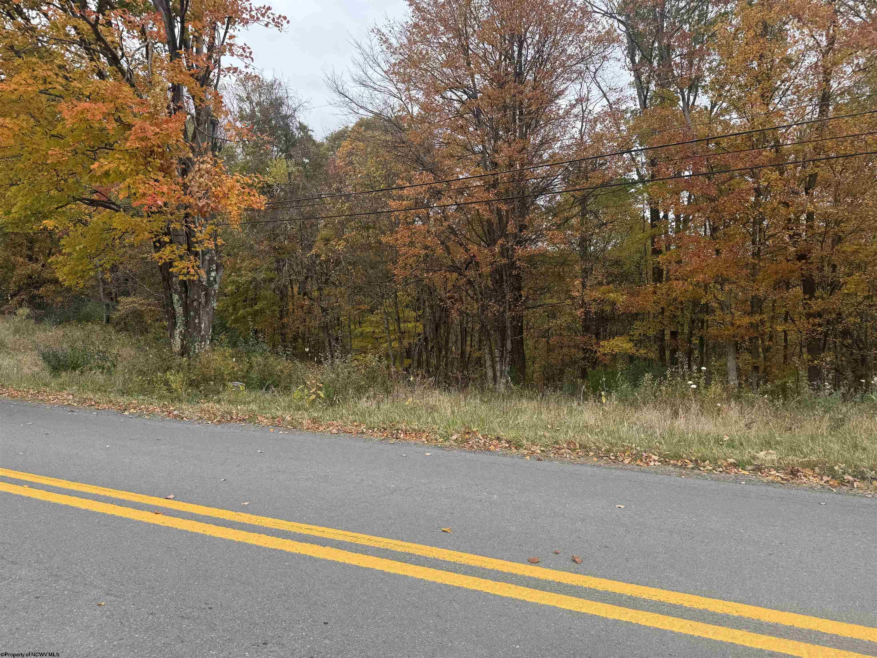 Land in Masontown 4