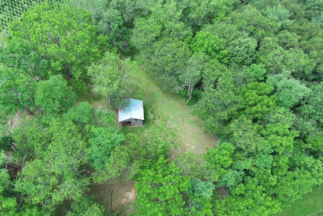 5043 Stones Chapel Rd, House other with 3 bedrooms, 3 bathrooms and 4 parking in Elk Creek VA | Image 58