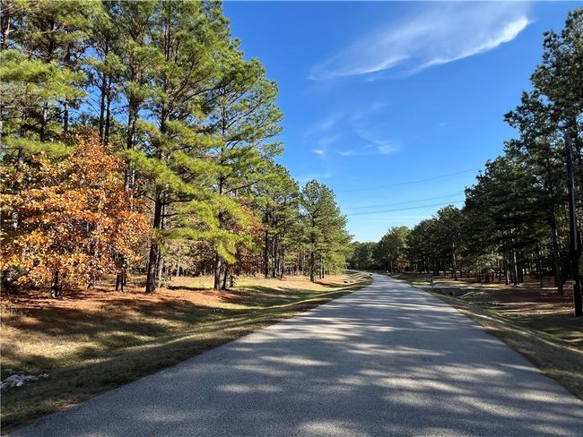 1142 Fletcher, House other with 4 bedrooms, 4 bathrooms and null parking in Anderson TX | Image 44
