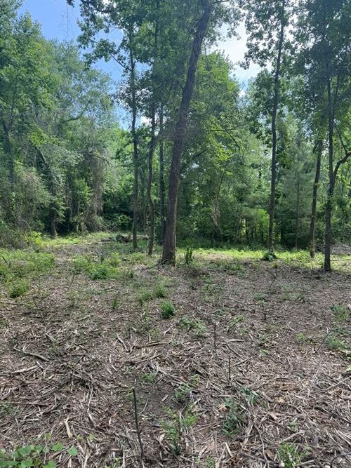 0 Paradise Point Dr, Willis, TX, 77318 | Card Image