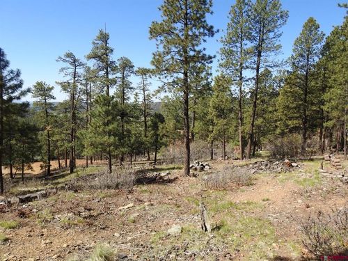 1142 Deer Ridge Dr, Bayfield, CO, 81122-9717 | Card Image