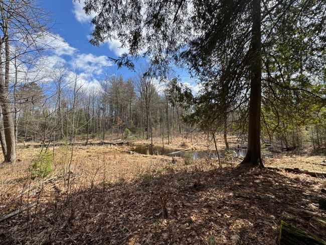 4233 Hardacre Trl, Home with 0 bedrooms, 0 bathrooms and null parking in Houghton Lake MI | Image 17