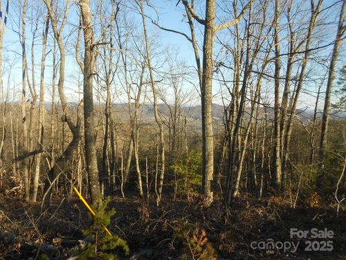 0000 Arbra Mountain Way, Bostic, NC, 28018 | Card Image