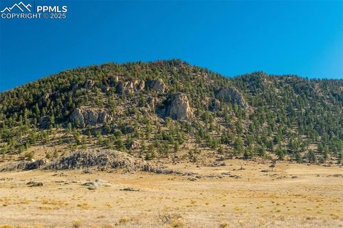 1354 Puma Hills Rd, Lake George, CO, 80827 | Card Image