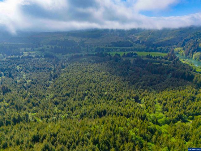 0 Elmer Miller Rd, Home with 0 bedrooms, 0 bathrooms and null parking in Siletz OR | Image 23