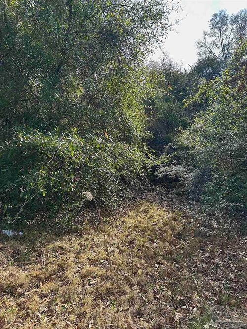 400 BLK N Century Blvd, Mcdavid, FL, 32568 | Card Image