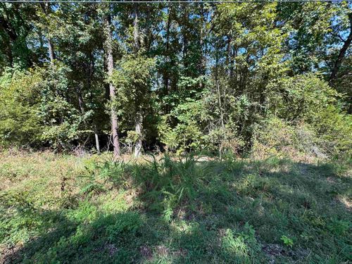 Lot 51 Valhalla Dr, Edgemont, AR, 72044 | Card Image
