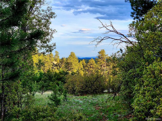 324 Pikeview Ln, House other with 3 bedrooms, 2 bathrooms and null parking in Florissant CO | Image 45