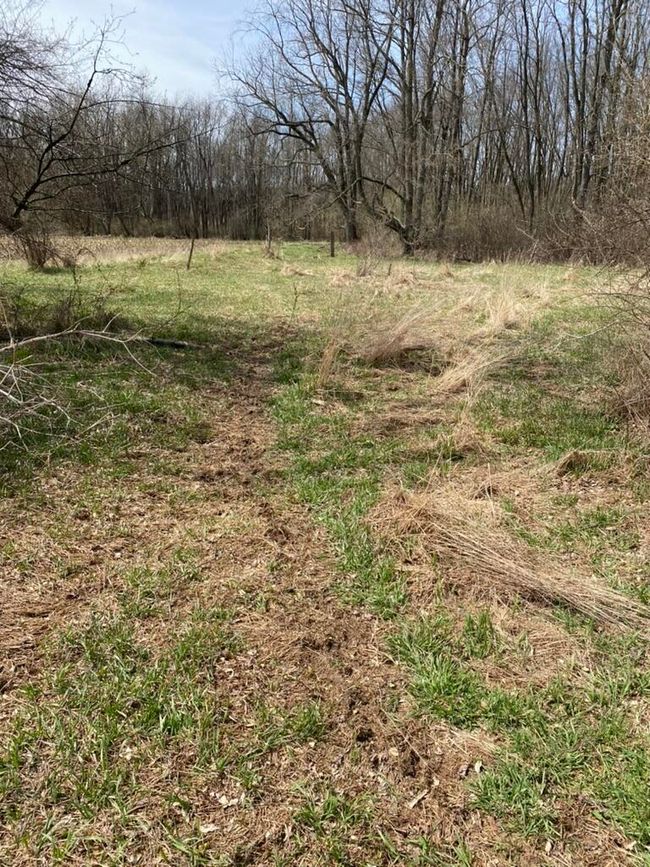 4500 S 42 Nd St, Home with 0 bedrooms, 0 bathrooms and null parking in Climax MI | Image 10