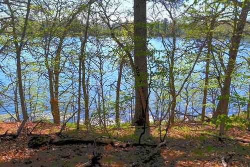 40039 County 17, Browerville, MN, 56438 | Card Image