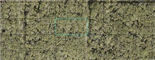 21-10-28-2775-00050-0177 Ruth Avenue, Hastings, FL, 32145 | Card Image
