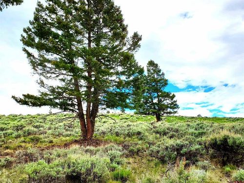 231 Schofield Trail, Powderhorn, CO, 81243 | Card Image