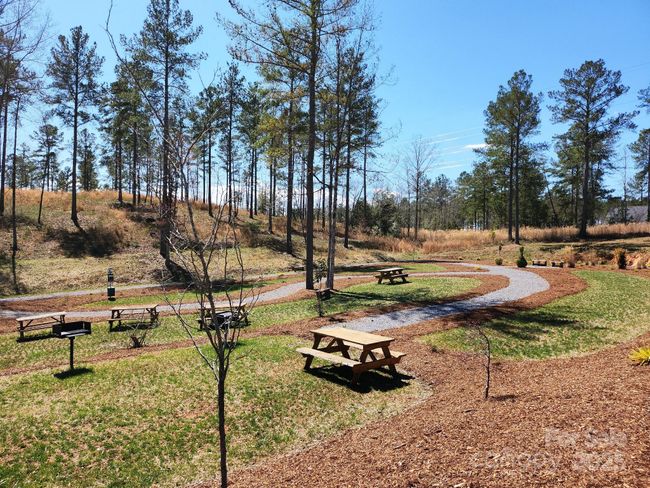 169 - 4083 Grays Peak Summit Summit, Home with 0 bedrooms, 0 bathrooms and null parking in Connelly Springs NC | Image 23