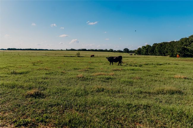 View of yard with a view of countryside | Image 30