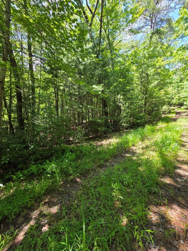 Lot 1 High Knee Rd, Home with 0 bedrooms, 0 bathrooms and null parking in Cherry Log GA | Image 17