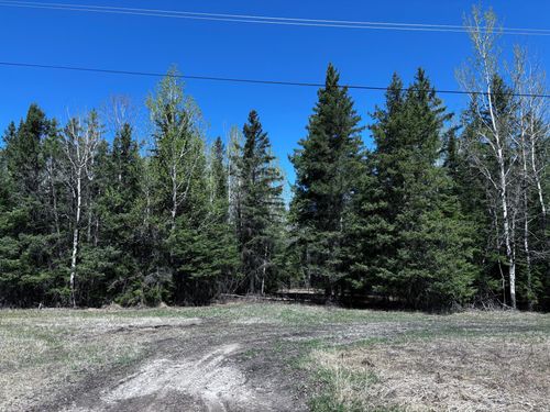 TBD Town Road 286, International Falls, MN, 56649 | Card Image