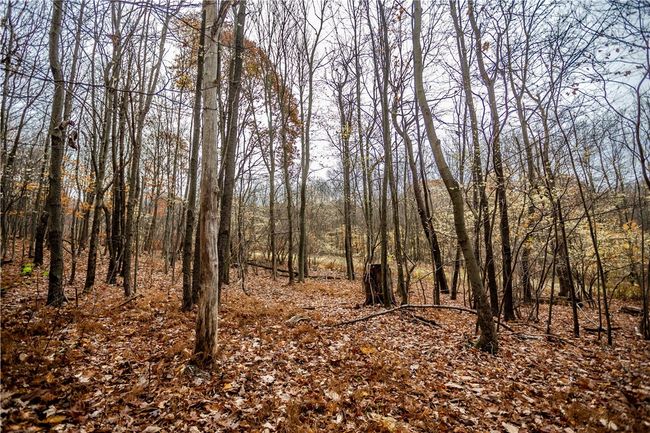 381 Lynx Ln, House other with 3 bedrooms, 2 bathrooms and null parking in Vintondale PA | Image 24