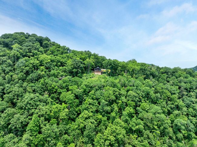 45 Benjamins Ln, House other with 1 bedrooms, 2 bathrooms and 2 parking in Carthage TN | Image 55
