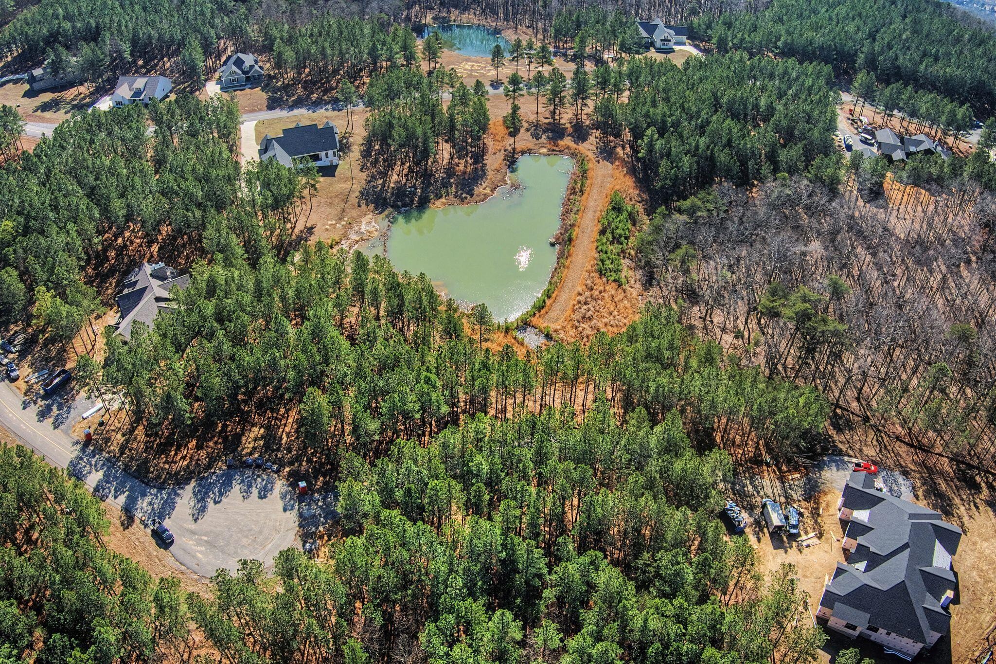 Land in Jasper 2