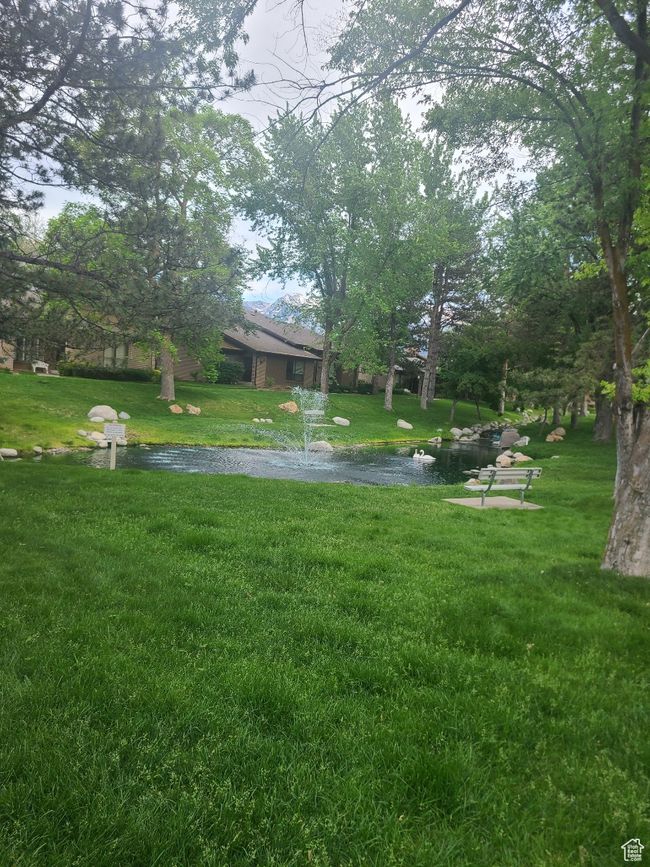 View of grassy yard | Image 31