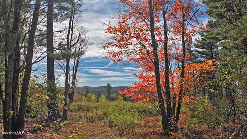 1570 Washington Mountain Rd, Washington, MA, 01223 | Card Image