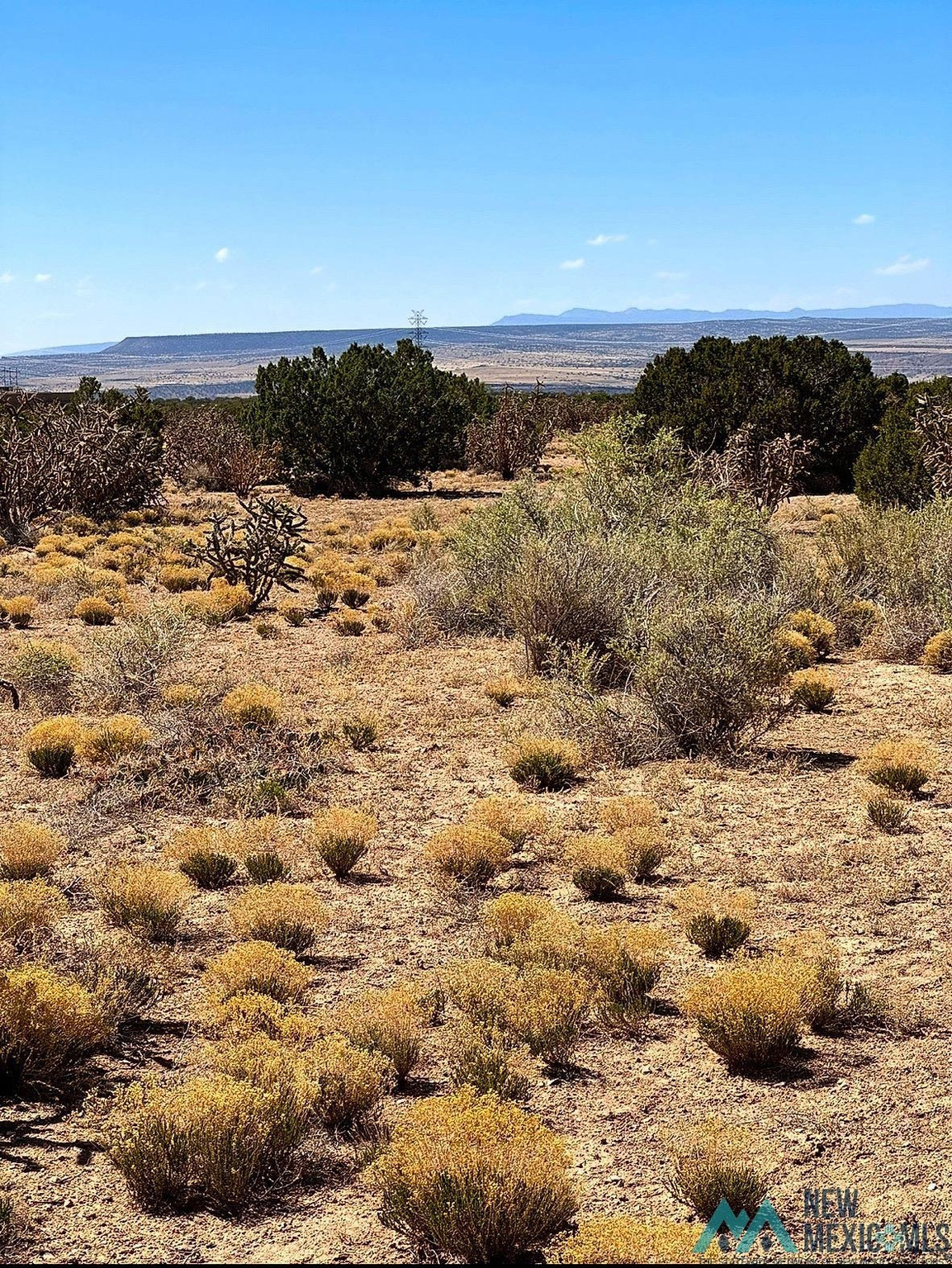 Land in Placitas 2