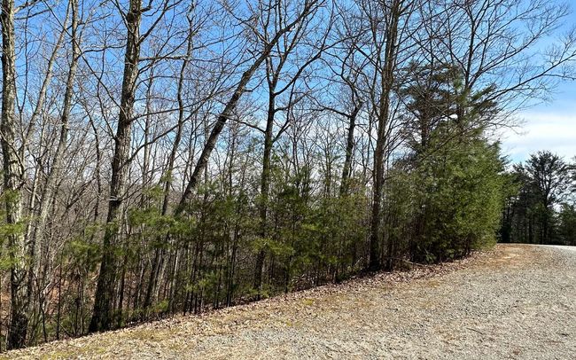 LT29 Wilderness Creek Way, Home with 0 bedrooms, 0 bathrooms and null parking in Murphy NC | Image 4