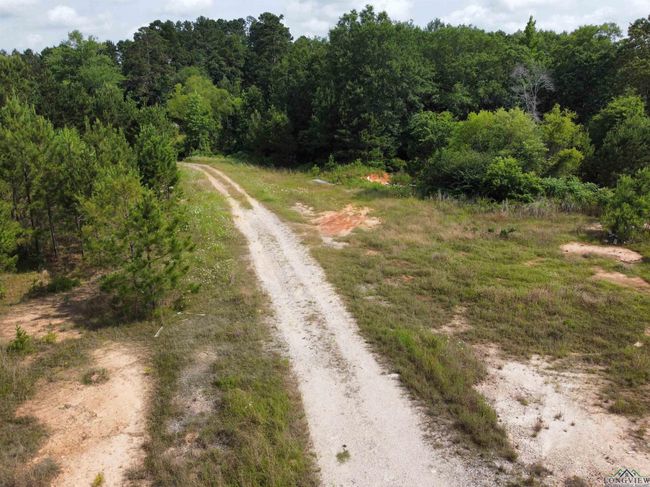 0000 State Highway 43 E, Home with 0 bedrooms, 0 bathrooms and null parking in Tatum TX | Image 4