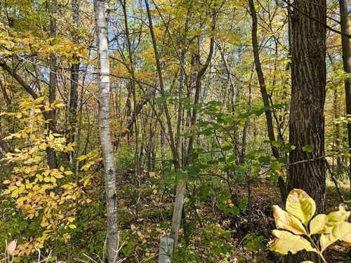 TBD Lot 2 Bunny Lane, Crosby, MN, 56441 | Card Image