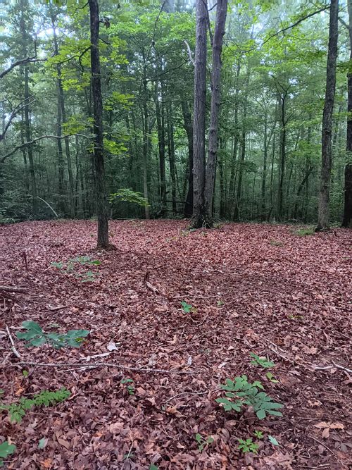 0 Logger Ln, Cedar Grove, TN, 38321 | Card Image