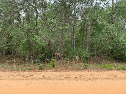 0 David Ave, Interlachen, FL, 32148 | Card Image