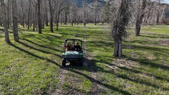 9430 Us Highway 93 S, Home with 0 bedrooms, 0 bathrooms and null parking in Lolo MT | Image 17