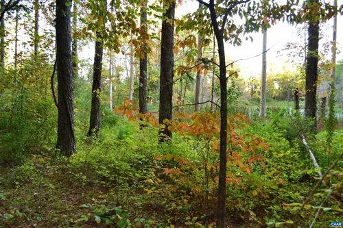 2a-2A Scottsville Rd, CHARLOTTESVILLE, VA, 22902 | Card Image