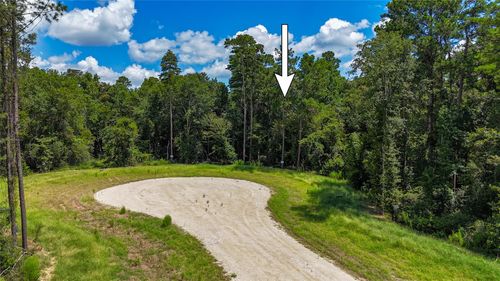 110 Romantic Dreams Ct, New Waverly, TX, 77358-0108 | Card Image