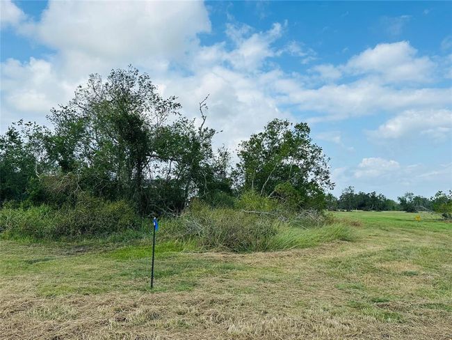 101 Trailblazer, Home with 0 bedrooms, 0 bathrooms and null parking in Angleton TX | Image 4