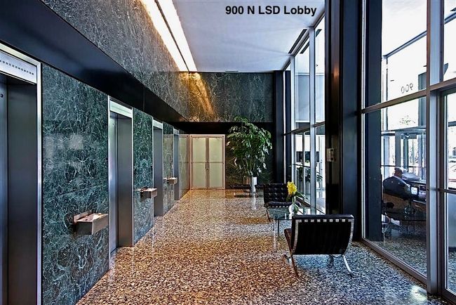 APT-408 - 900 N Lake Shore Dr, Home with 1 bedrooms, 1 bathrooms and null parking in CHICAGO IL | Image 14