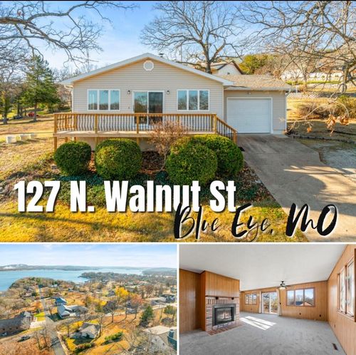 127 Walnut Street, Blue Eye, MO, 65611 | Card Image